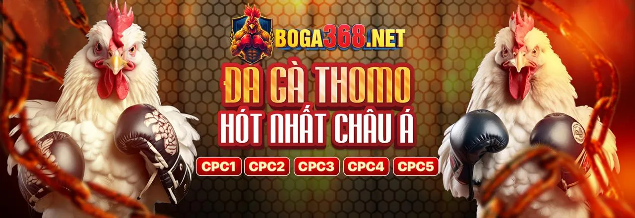 Hình ảnh sân vận động thể thao sôi động tại ole777 app